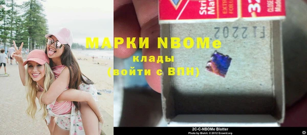 гидра Елабуга