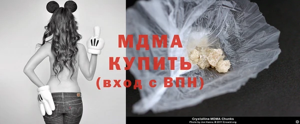 хмурый Абаза