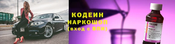 хмурый Абаза