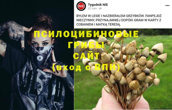 хмурый Абаза