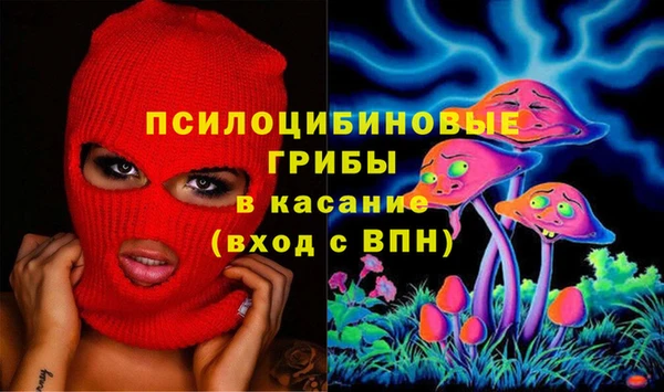 прущий лед Ельня