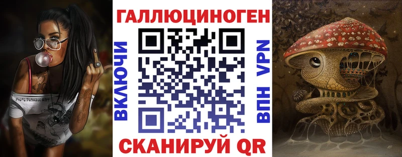 Галлюциногенные грибы Psilocybe Дятьково
