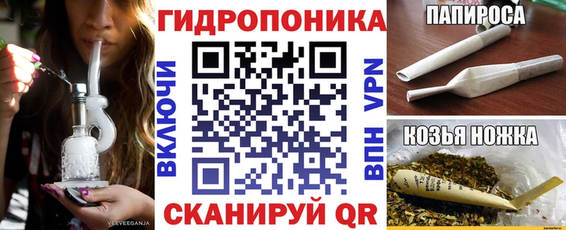 Конопля сатива  Дятьково 